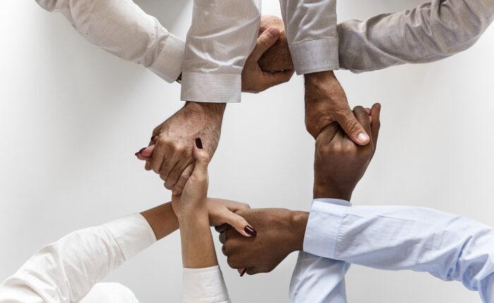 Link Building Service