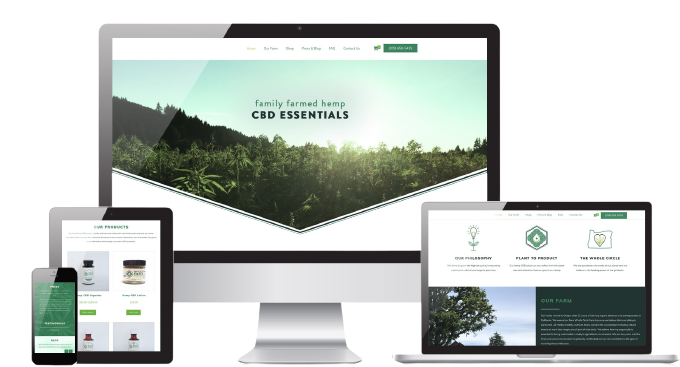 CBD Web Development