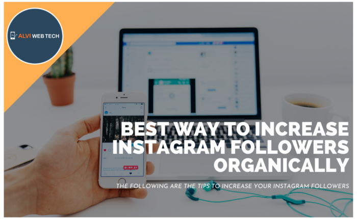 Increase Instagram Followers